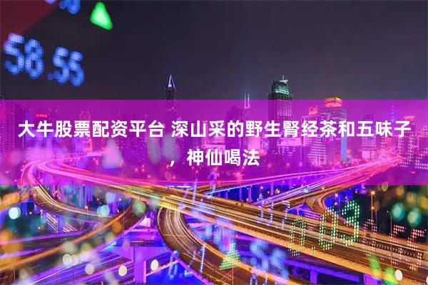 大牛股票配资平台 深山采的野生腎经茶和五味子，神仙喝法