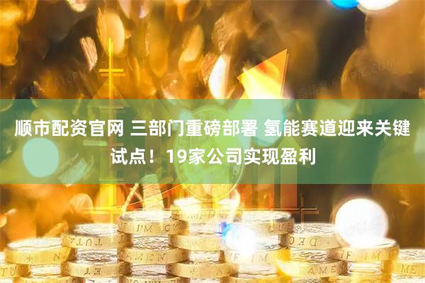 顺市配资官网 三部门重磅部署 氢能赛道迎来关键试点！19家公司实现盈利